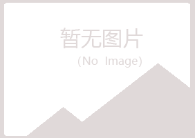 田东县白山工程有限公司